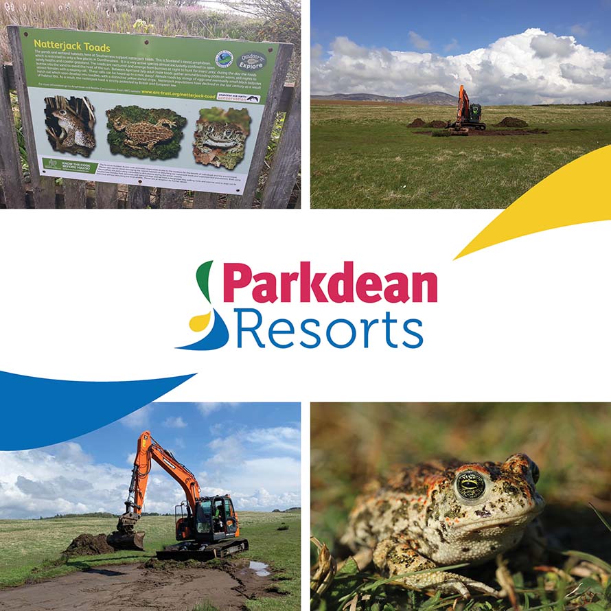 A collage of images showing Parkdean Resort's Natterjack Toad sanctuary being built